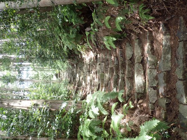 Steps leading up to the main temple